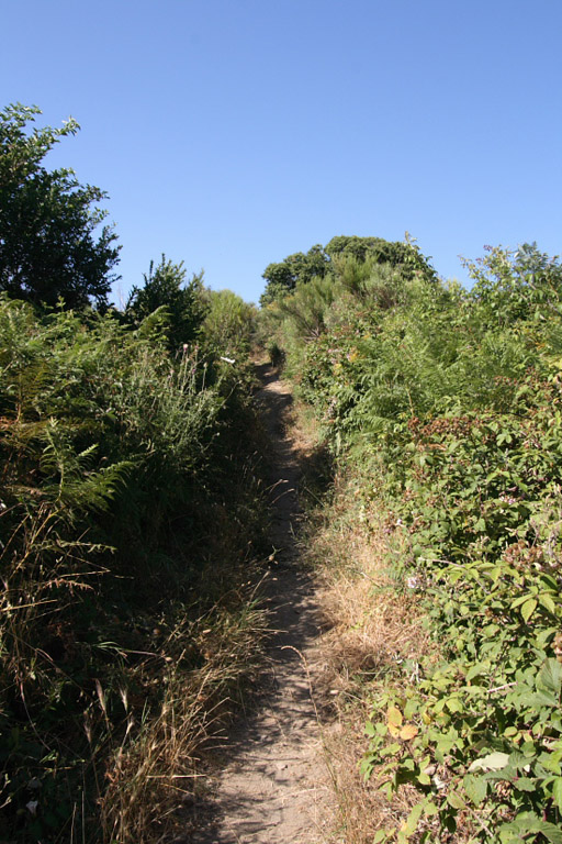 Biodiversit dei Castelli Romani:Le Piagge(Nemi)